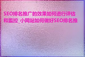 SEO排名推广的效果如何进行评估和监控_小网站如何做好SEO排名推广