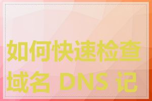 如何快速检查域名 DNS 记录