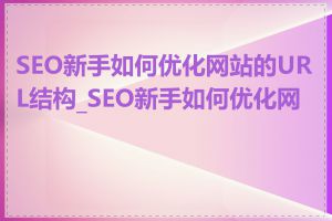 SEO新手如何优化网站的URL结构_SEO新手如何优化网站