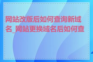 网站改版后如何查询新域名_网站更换域名后如何查询