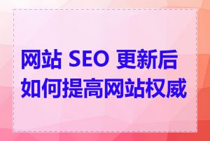 网站 SEO 更新后如何提高网站权威性