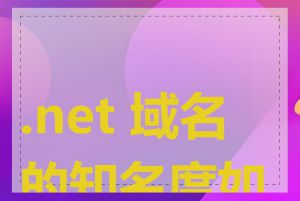 .net 域名的知名度如何