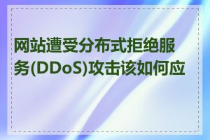 网站遭受分布式拒绝服务(DDoS)攻击该如何应对