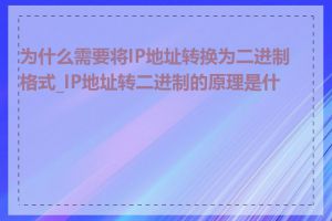 为什么需要将IP地址转换为二进制格式_IP地址转二进制的原理是什么