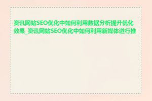 资讯网站SEO优化中如何利用数据分析提升优化效果_资讯网站SEO优化中如何利用新媒体进行推广