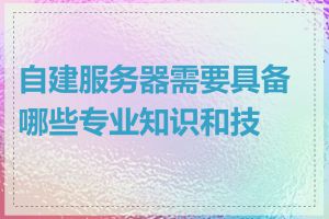 自建服务器需要具备哪些专业知识和技能