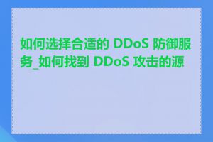 如何选择合适的 DDoS 防御服务_如何找到 DDoS 攻击的源头