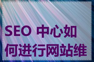 SEO 中心如何进行网站维护