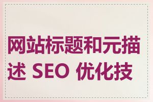 网站标题和元描述 SEO 优化技巧