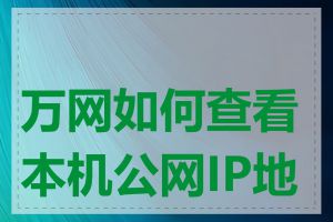 万网如何查看本机公网IP地址