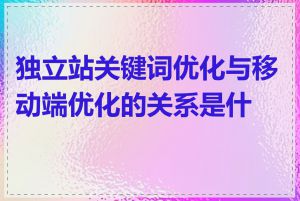 独立站关键词优化与移动端优化的关系是什么