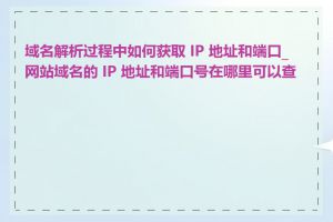 域名解析过程中如何获取 IP 地址和端口_网站域名的 IP 地址和端口号在哪里可以查到