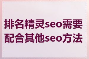 排名精灵seo需要配合其他seo方法吗