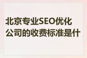 北京专业SEO优化公司的收费标准是什么