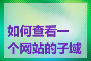 如何查看一个网站的子域名