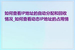 如何查看IP地址的自动分配和回收情况_如何查看动态IP地址的占用情况