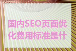 国内SEO页面优化费用标准是什么