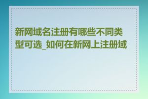 新网域名注册有哪些不同类型可选_如何在新网上注册域名