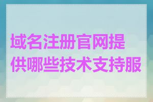 域名注册官网提供哪些技术支持服务