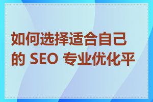 如何选择适合自己的 SEO 专业优化平台