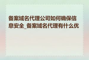 备案域名代理公司如何确保信息安全_备案域名代理有什么优势