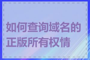 如何查询域名的正版所有权情况