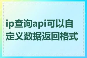 ip查询api可以自定义数据返回格式吗