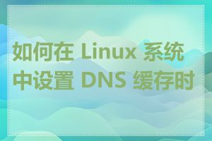 如何在 Linux 系统中设置 DNS 缓存时间