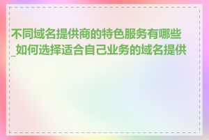 不同域名提供商的特色服务有哪些_如何选择适合自己业务的域名提供商