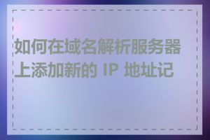 如何在域名解析服务器上添加新的 IP 地址记录