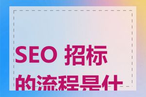 SEO 招标的流程是什么