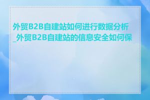 外贸B2B自建站如何进行数据分析_外贸B2B自建站的信息安全如何保障