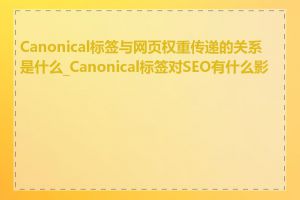 Canonical标签与网页权重传递的关系是什么_Canonical标签对SEO有什么影响