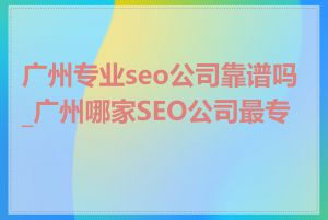 广州专业seo公司靠谱吗_广州哪家SEO公司最专业