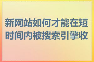 新网站如何才能在短时间内被搜索引擎收录