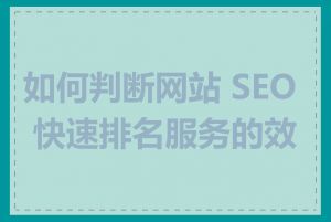 如何判断网站 SEO 快速排名服务的效果