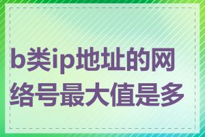 b类ip地址的网络号最大值是多少