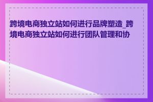 跨境电商独立站如何进行品牌塑造_跨境电商独立站如何进行团队管理和协作