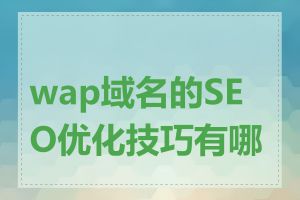 wap域名的SEO优化技巧有哪些