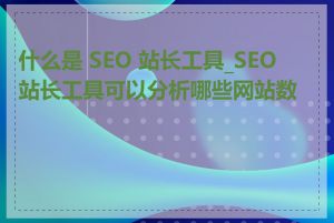 什么是 SEO 站长工具_SEO 站长工具可以分析哪些网站数据