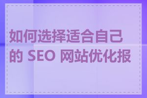 如何选择适合自己的 SEO 网站优化报价