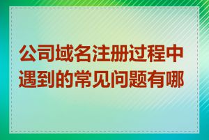 公司域名注册过程中遇到的常见问题有哪些