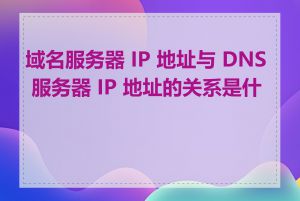 域名服务器 IP 地址与 DNS 服务器 IP 地址的关系是什么