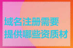 域名注册需要提供哪些资质材料