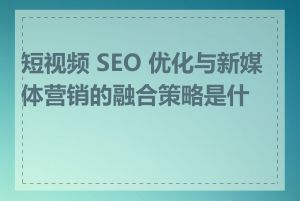 短视频 SEO 优化与新媒体营销的融合策略是什么