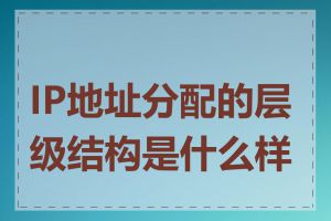 IP地址分配的层级结构是什么样的