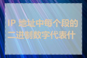 IP 地址中每个段的二进制数字代表什么