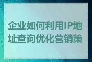 企业如何利用IP地址查询优化营销策略