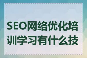 SEO网络优化培训学习有什么技巧