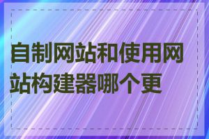 自制网站和使用网站构建器哪个更好